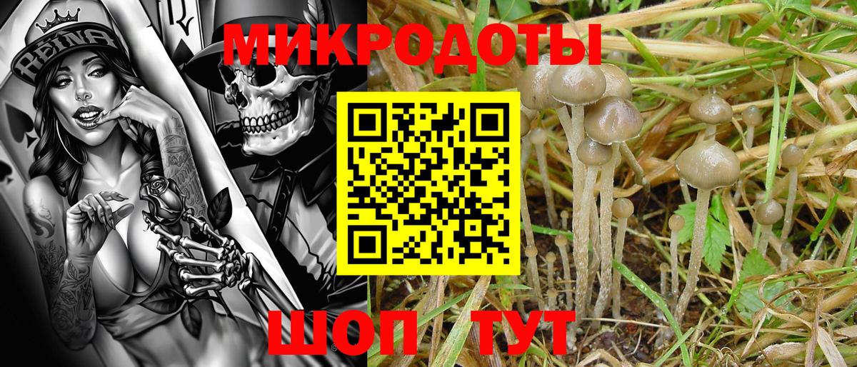 Псилоцибиновые грибы прущие грибы Волхов