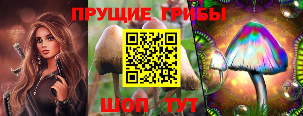 Галлюциногенные грибы мицелий  Вход с VPN  Волхов 